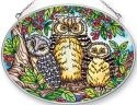 Owls