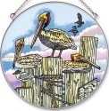 Pelicans