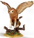 Owls