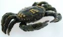 Crabs