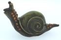 Snails