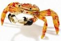 Crabs
