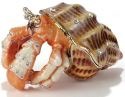 Crabs
