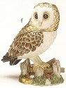 Owls