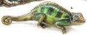 Lizards