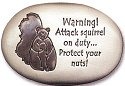 Squirrels