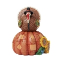 Jim Shore 6016630 Harvest Turkey on Pumpkin Figurine