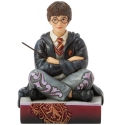 Jim Shore 6016699N Harry with Wand Figurine