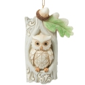 Jim Shore 6017182N Woodland Owl in Tree Ornament