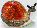Animals - Snails