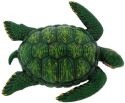 Animals - Turtles