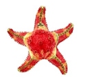 Kubla Crafts Bejeweled Enamel 3447B Red Coral Starfish