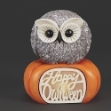 Roman Holidays 137035N Happy Owlween Pudgy Pal