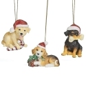 Roman Holidays 137183 Set of 3 Dog Ornaments In Santa Hats